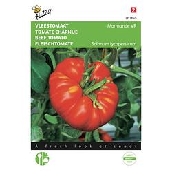 Foto van 2 stuks tomaten marmande vleestomaat