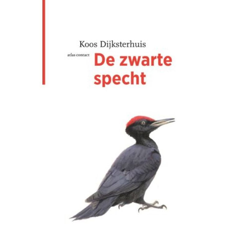 Foto van De zwarte specht - de vogelserie