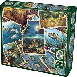 Foto van Cobble hill puzzle 1000 pieces - fish pics