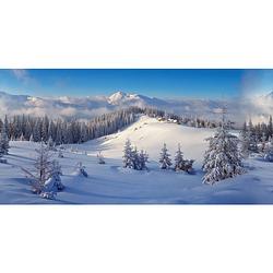 Foto van My village - achtergrond doek winter bos 150 x 75 cm