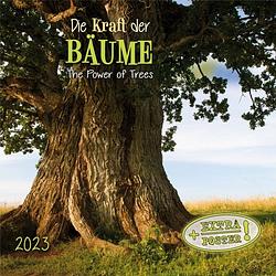 Foto van The power of trees kalender 2023