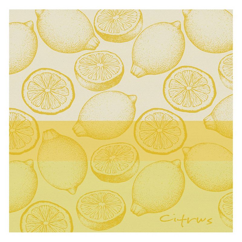 Foto van Ddddd theedoek citrus 60x65cm - yellow - set van 6