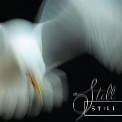 Foto van Still - cd (8033959880425)