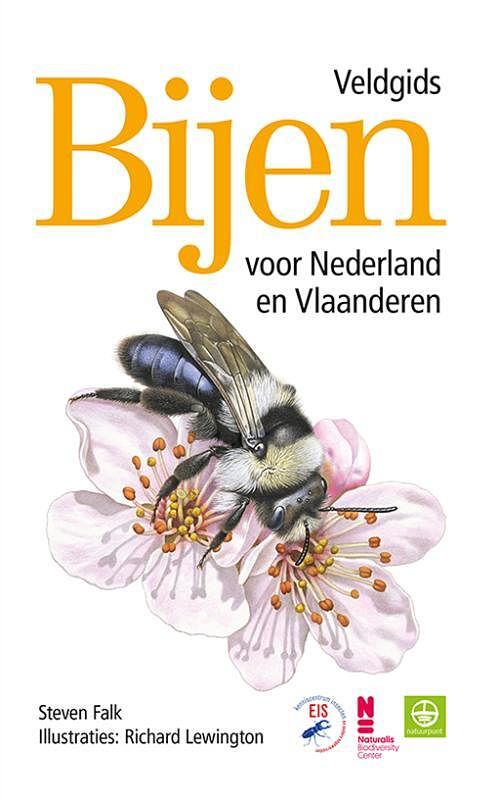 Foto van Bijen - veldgids voor nederland en vlaanderen - richard lewington, steven falk - paperback (9789021575513)