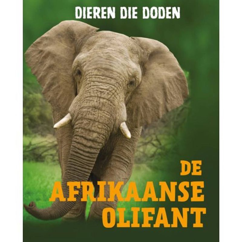 Foto van De afrikaanse olifant - dieren die doden