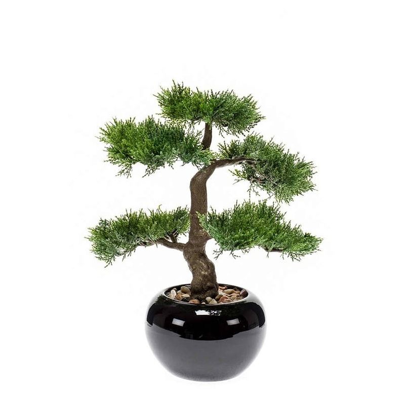 Foto van Kunstplant bonsai boom in zwarte pot 16 cm - kunstplanten