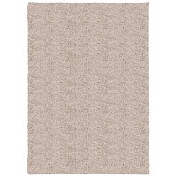 Foto van Vidaxl vloerkleed pamplona shaggy hoogpolig modern 120x170 cm beige