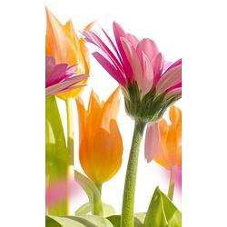 Foto van Dimex spring flowers vlies fotobehang 150x250cm 2-banen