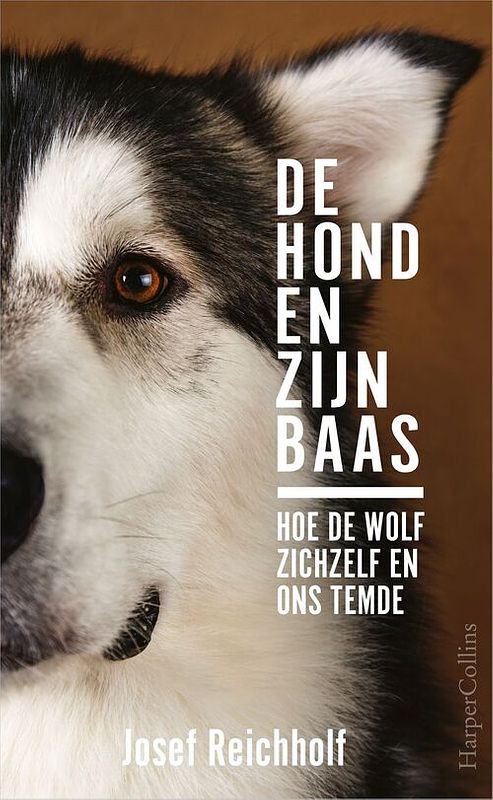 Foto van De hond en zijn baas - josef reichholf - ebook (9789402762044)