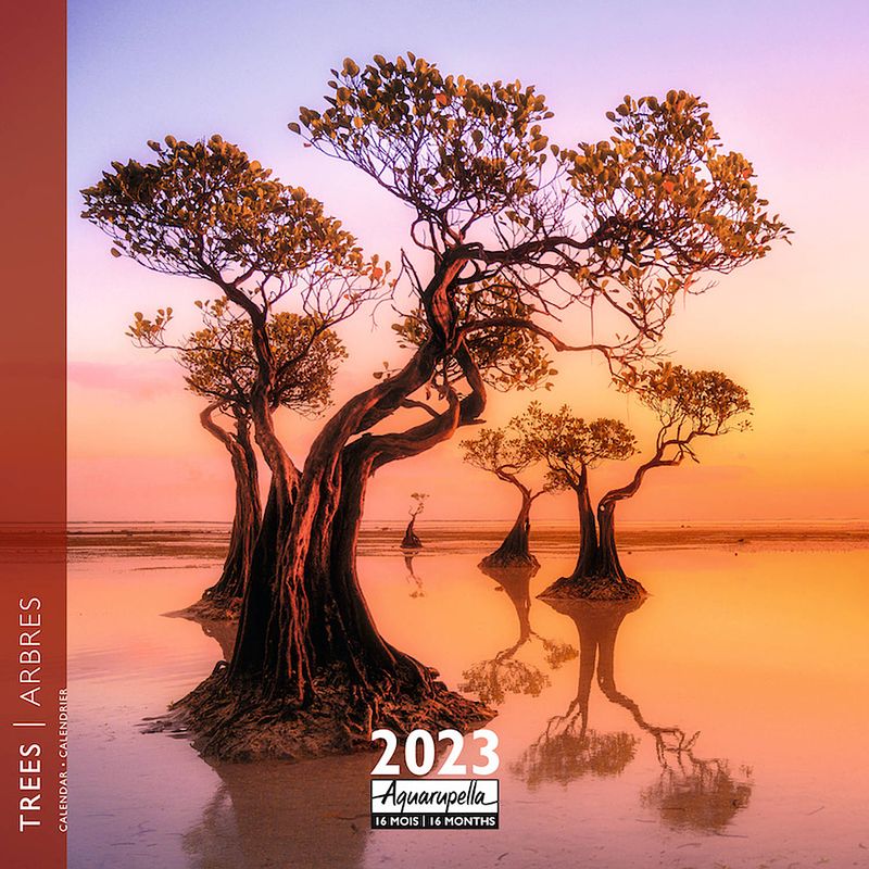 Foto van Arbres - trees kalender 2023