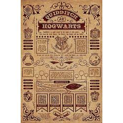 Foto van Pyramid harry potter quidditch at hogwarts poster 61x91,5cm