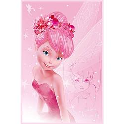 Foto van Pyramid disney fairies tink pink poster 61x91,5cm