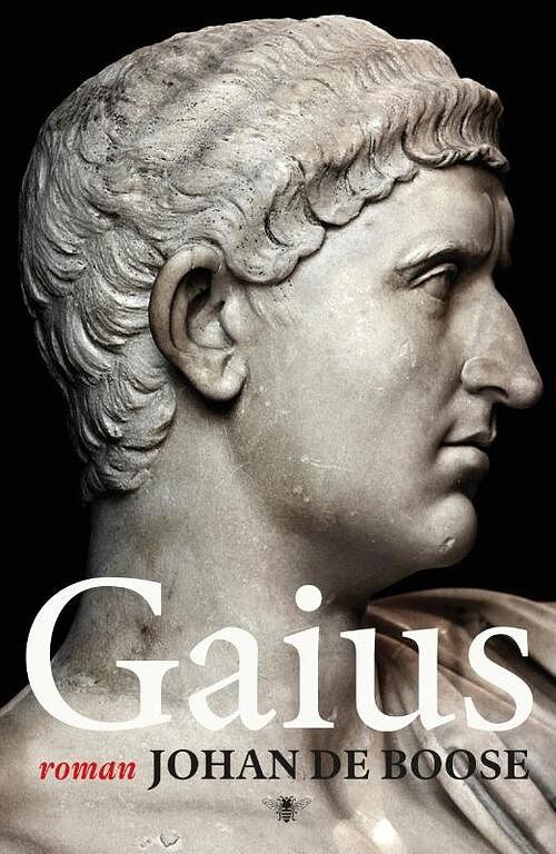 Foto van Gaius - johan de boose - ebook (9789460422188)