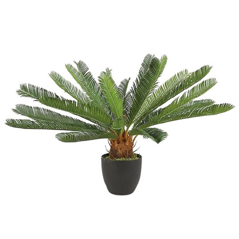 Foto van Tom kunstplant cycas revoluta s 65 x 72 cm groen/bruin