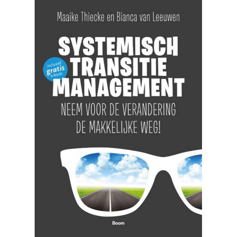 Foto van Systemisch transitiemanagement