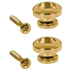 Foto van Boston ep-r-g strap button goud, met schroef (2 stuks)