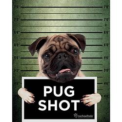 Foto van Pyramid rachael hale pug shot banjo poster 40x50cm