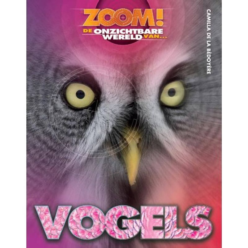 Foto van Vogels - zoom!