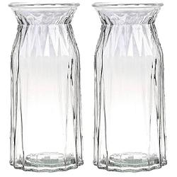Foto van Bellatio design bloemenvaas - 2x - helder transparant glas - d12 x h24 cm - vazen