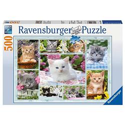 Foto van Ravensburger puzzel poesjes in hun mandje - 500 stukjes