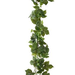 Foto van Everlands planten slinger - wijnstok - kunstplant - groen - 175 cm - kunstplanten