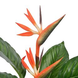 Foto van The living store kunst strelitzia - 100 cm - groen - rood