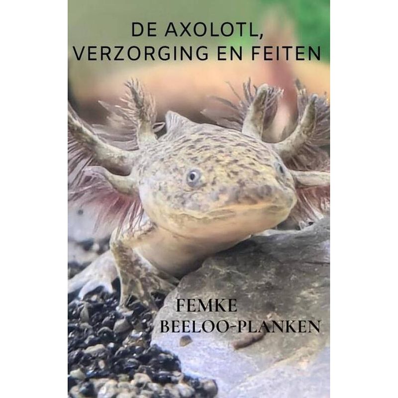 Foto van De axolotl, verzorging en feiten