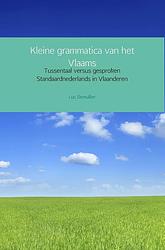 Foto van Kleine grammatica van het vlaams - luc demullier - ebook