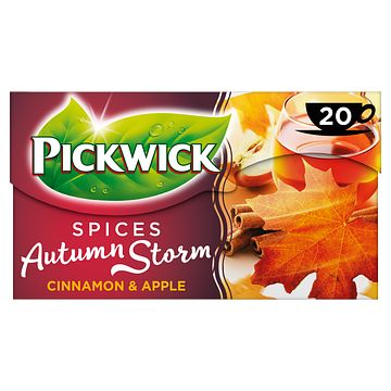 Foto van Pickwick spices autumn storm zwarte thee 20 stuks bij jumbo