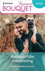 Foto van Avontuurlijke ontmoeting - nina harrington - ebook