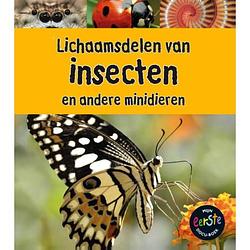 Foto van Lichaamsdelen van insecten - onder de loep