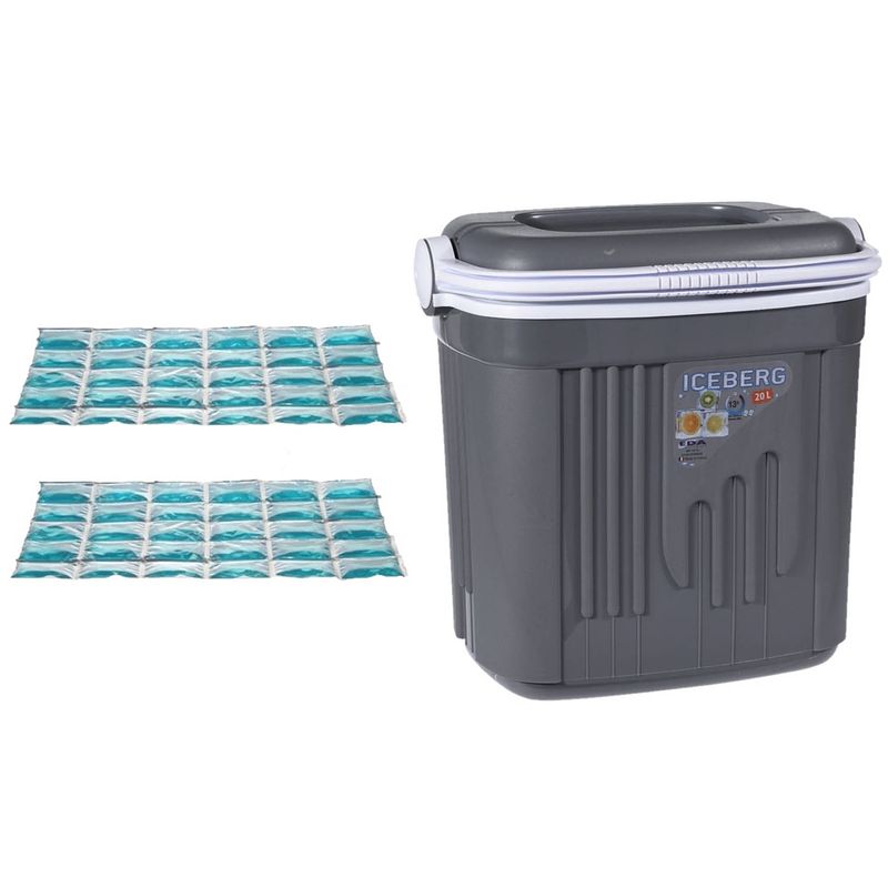 Foto van Voordelige flexibele grijze koelbox 20 liter met 2x flexibele koelelementen - koelboxen