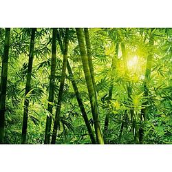 Foto van Wizard+genius bamboo forest vlies fotobehang 384x260cm 8-banen