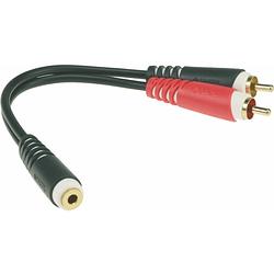 Foto van Klotz ays-6 y-adapter 3.5mm stereo female - 2x rca male 0.2m