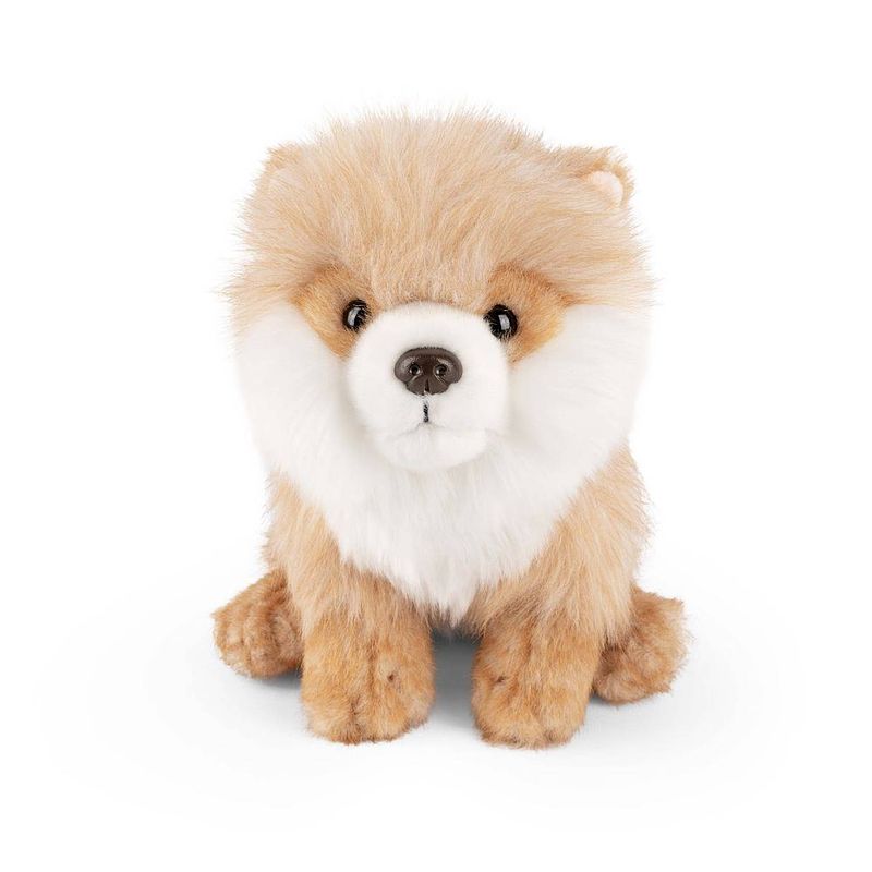 Foto van Living nature knuffel pomeranian