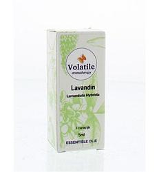 Foto van Volatile lavandin (lavandula super) 5ml