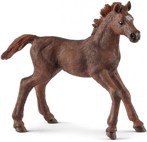 Foto van 13857 schleich engelse volbloed veulen