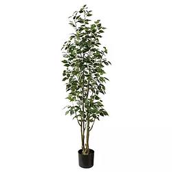 Foto van Ficus benjamina 145 cm kunstplant