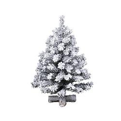 Foto van Everlands - mini kerstboom tafelboom imperial boom snowy d33h45 cm groen/wit