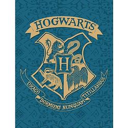 Foto van Harry potter fleecedeken hogwarts - 130 x 170 cm - polyester
