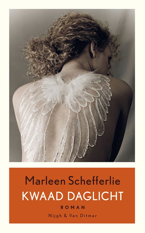 Foto van Kwaad daglicht - marleen schefferlie - ebook (9789038896830)