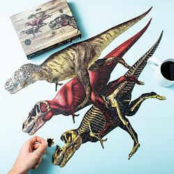 Foto van T-rex anatomie puzzel (360 stukjes)