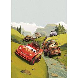 Foto van Komar cars camping vlies fotobehang 200x280cm 4-banen