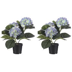 Foto van 2x stuks creme blauwe hydrangea/hortensia kunstplant 32 cm in pot - kunstplanten