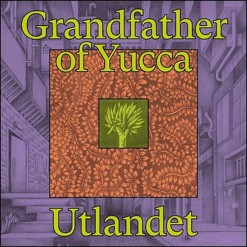 Foto van Grandfather of yucca - lp (7041889513048)