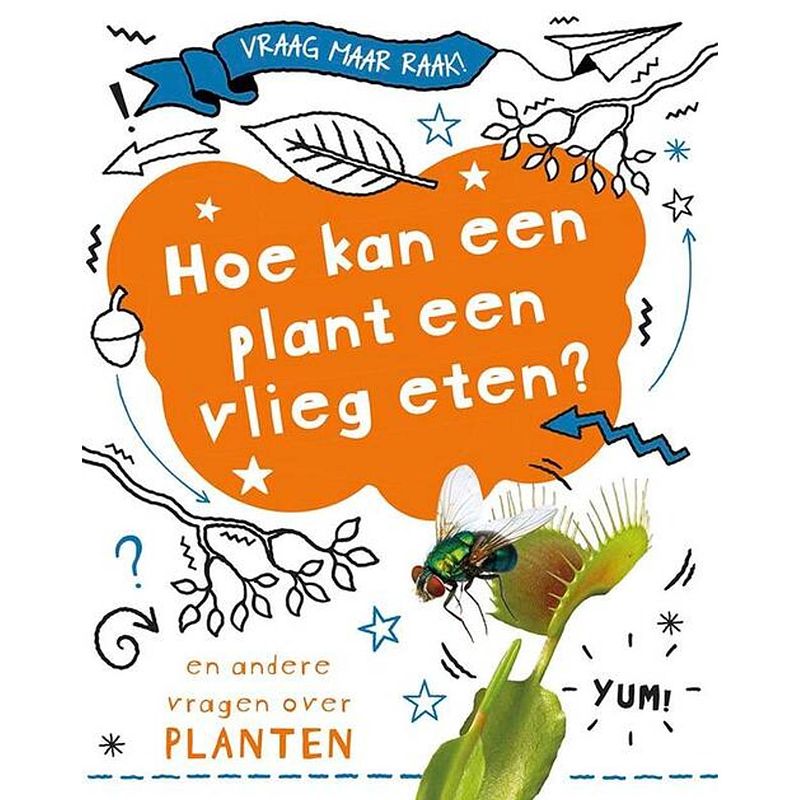 Foto van Hoe kan een plant een vlieg eten?