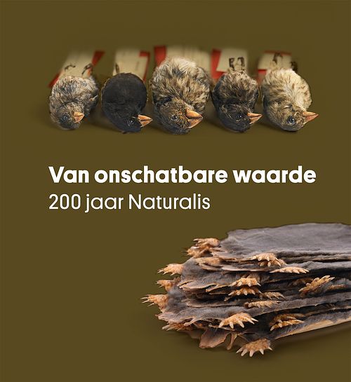 Foto van Van onschatbare waarde - ebook (9789462497276)