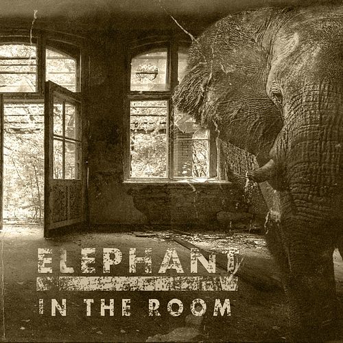 Foto van Elephant in the room - lp (4250444187133)