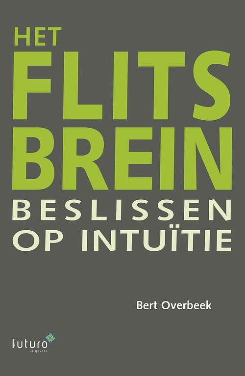 Foto van Het flitsbrein - bert overbeek - ebook (9789492221018)