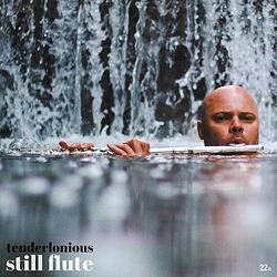 Foto van Still flute - lp (5052442021117)